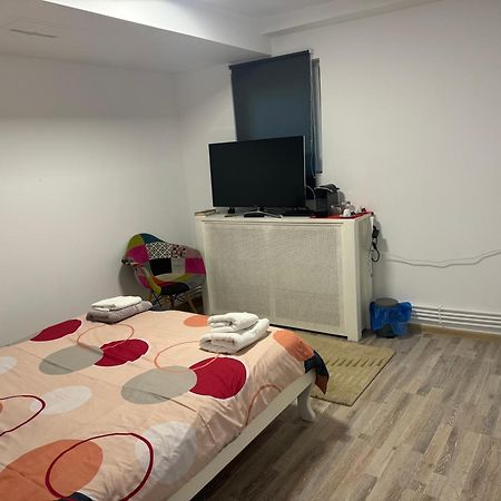 Viking Apartment Grigo Kluż-Napoka Zewnętrze zdjęcie