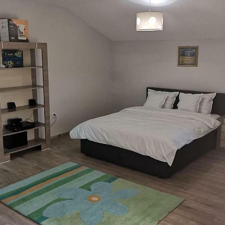 Viking Apartment Grigo Kluż-Napoka Zewnętrze zdjęcie