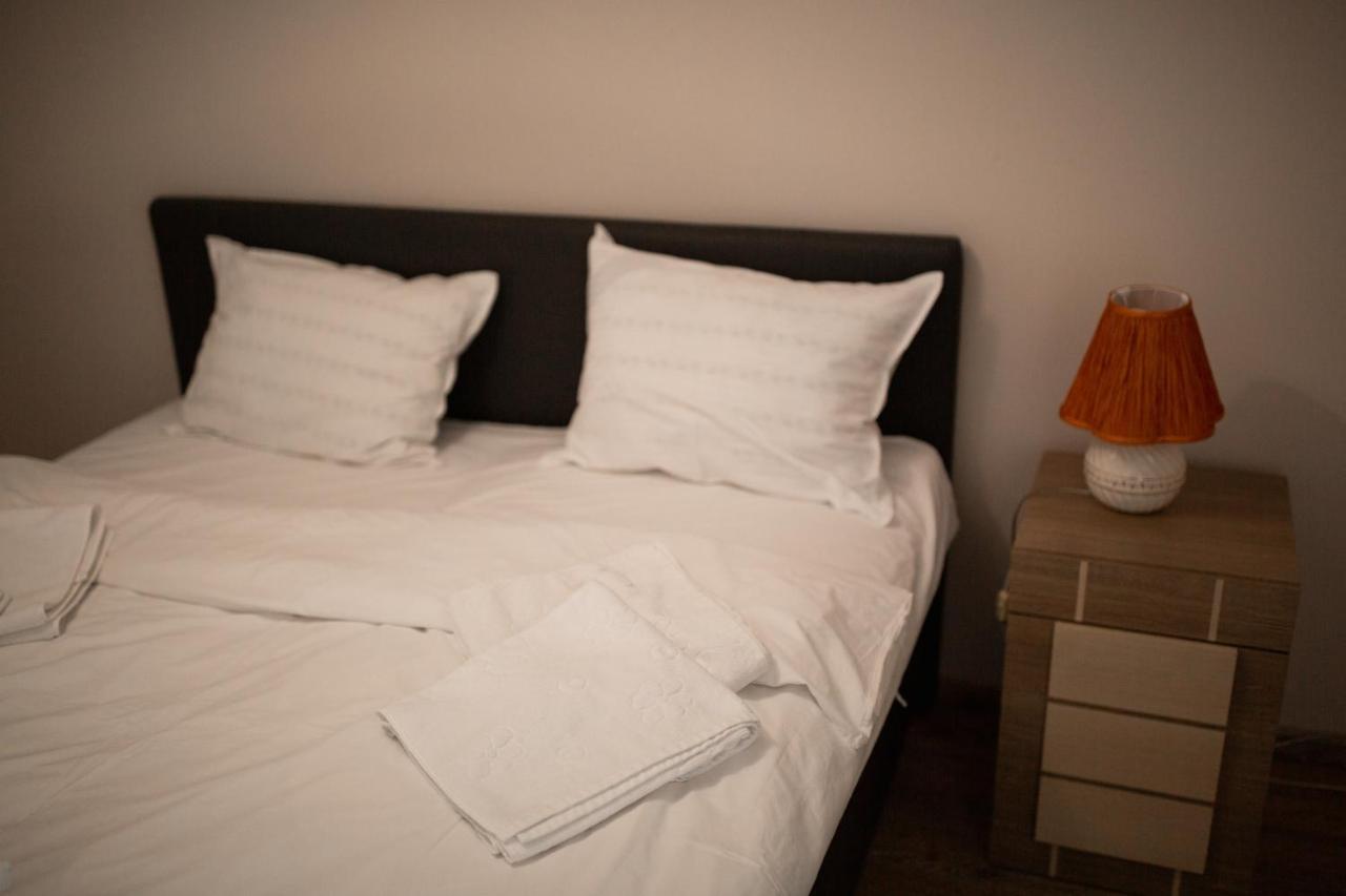Viking Apartment Grigo Kluż-Napoka Zewnętrze zdjęcie