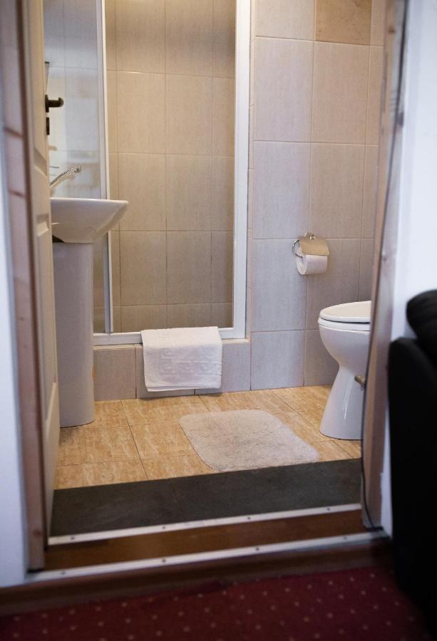 Viking Apartment Grigo Kluż-Napoka Zewnętrze zdjęcie