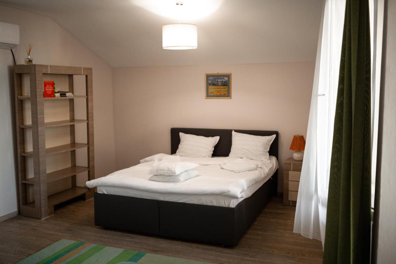 Viking Apartment Grigo Kluż-Napoka Zewnętrze zdjęcie