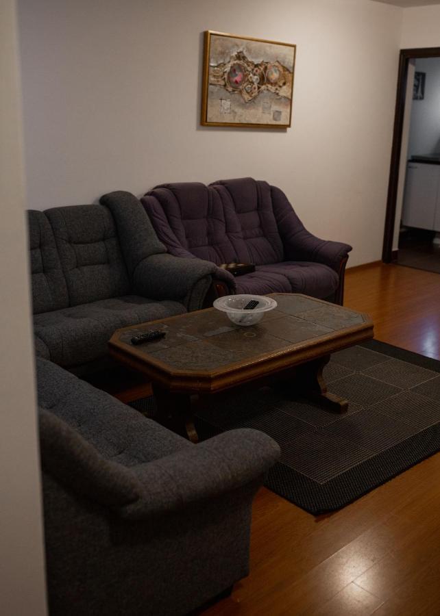 Viking Apartment Grigo Kluż-Napoka Zewnętrze zdjęcie