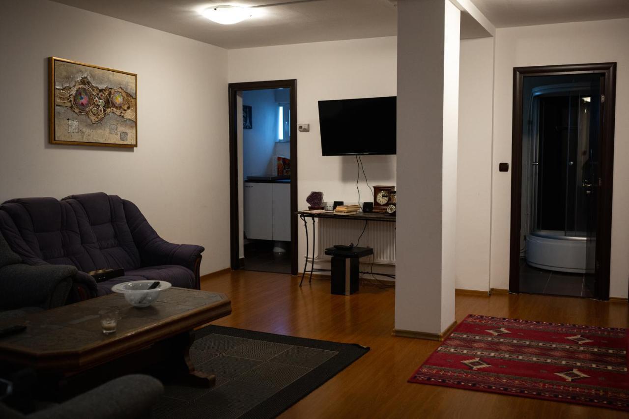 Viking Apartment Grigo Kluż-Napoka Zewnętrze zdjęcie