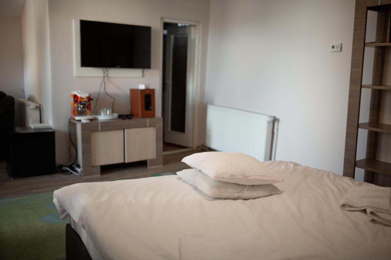 Viking Apartment Grigo Kluż-Napoka Zewnętrze zdjęcie