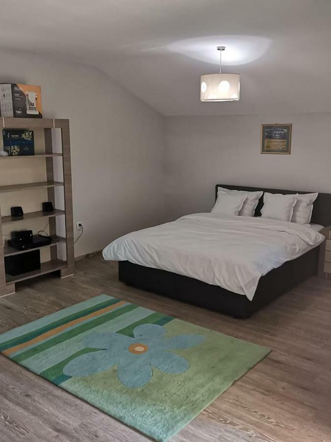 Viking Apartment Grigo Kluż-Napoka Zewnętrze zdjęcie